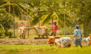 Union Cabinet approves National Mission on Natural Farming with outlay of ₹2,481 crore