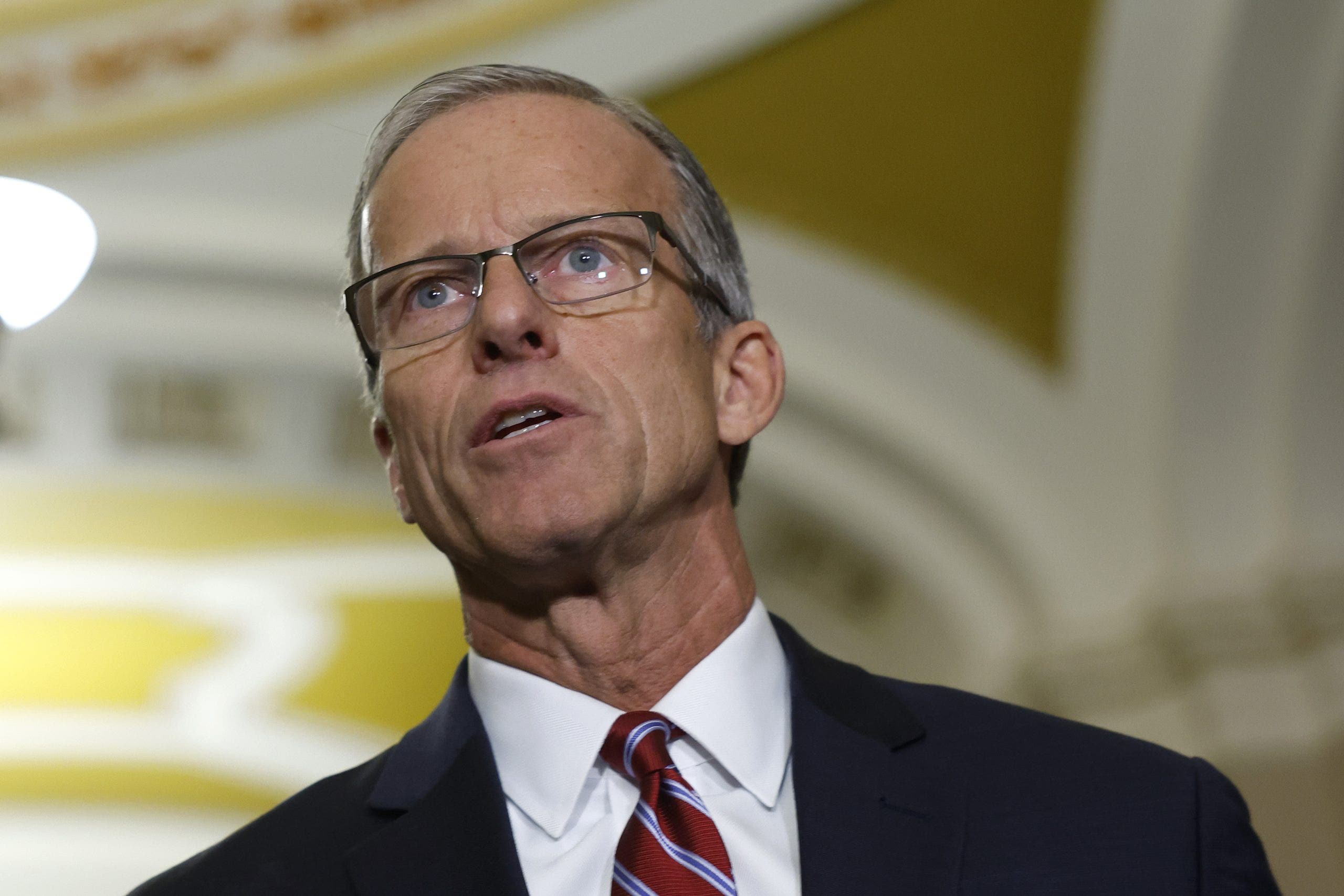 Senate Majority Leader John Thune has ‘no choice’ but to push hard for Trump agenda despite concerns: GOP rep