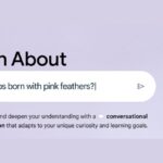 Google ‘Learn About’ Experimental AI Tool With Educational Style Responses Released