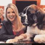 Pam Bondi, Donald Trump’s Pick For Top Lawyer, Got Sued For “Stealing” A Dog