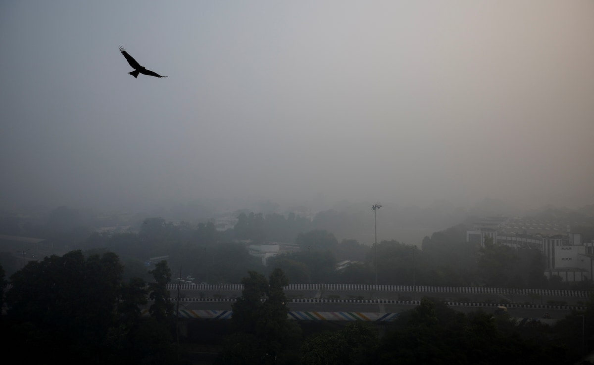 AQI Worsens To “Severe-Plus”, School Go Online, Entry Of Trucks Banned