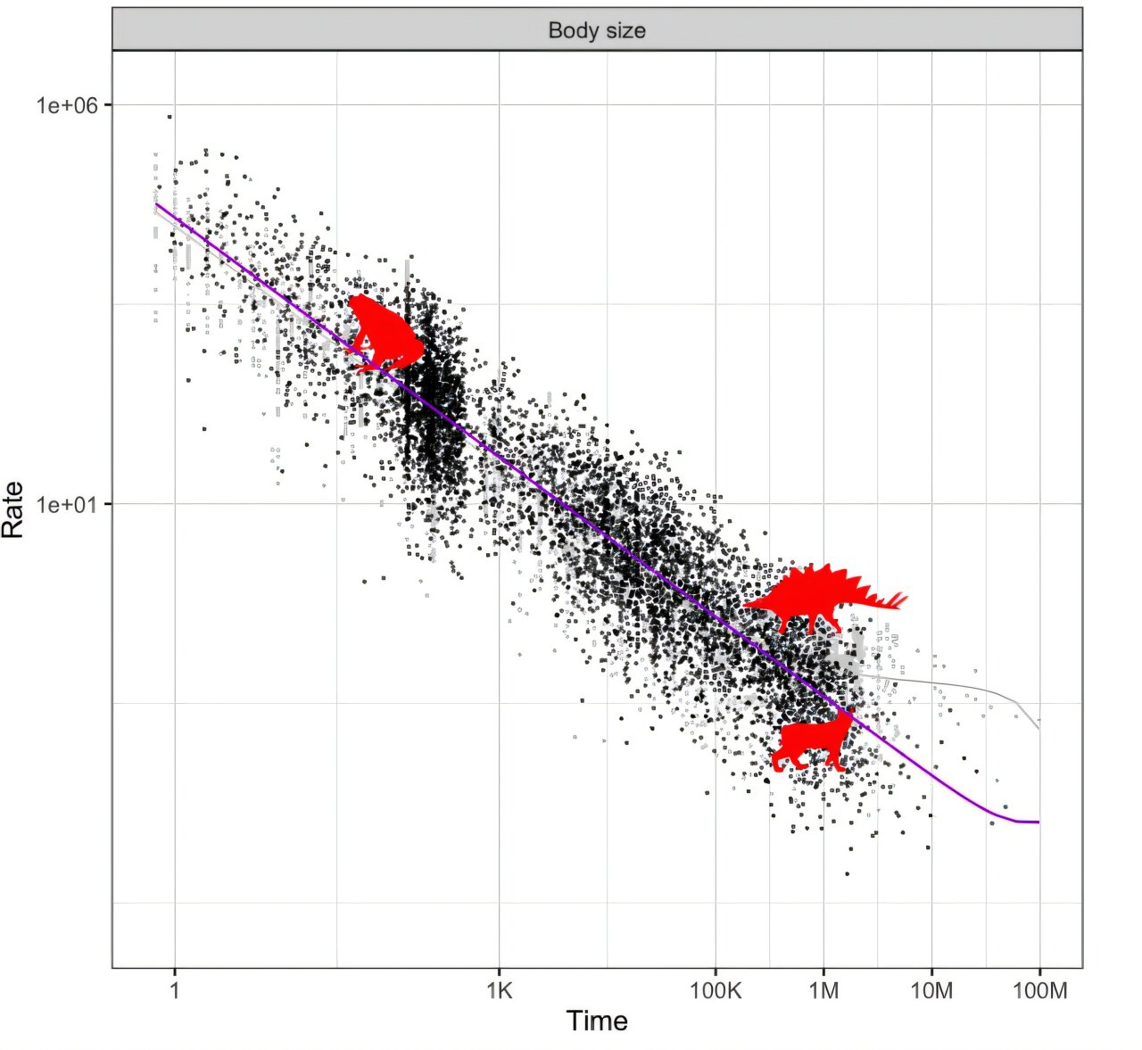 New tools filter noise from evolution data