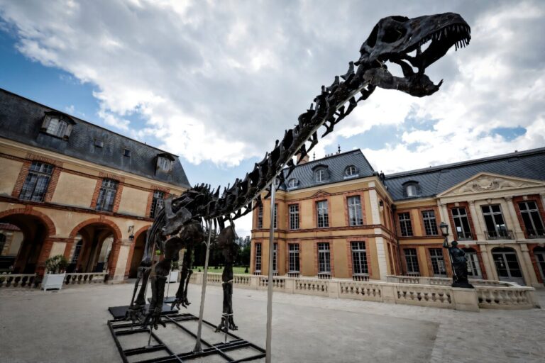 Dinosaur skeleton fetches 6 million euros in Paris sale