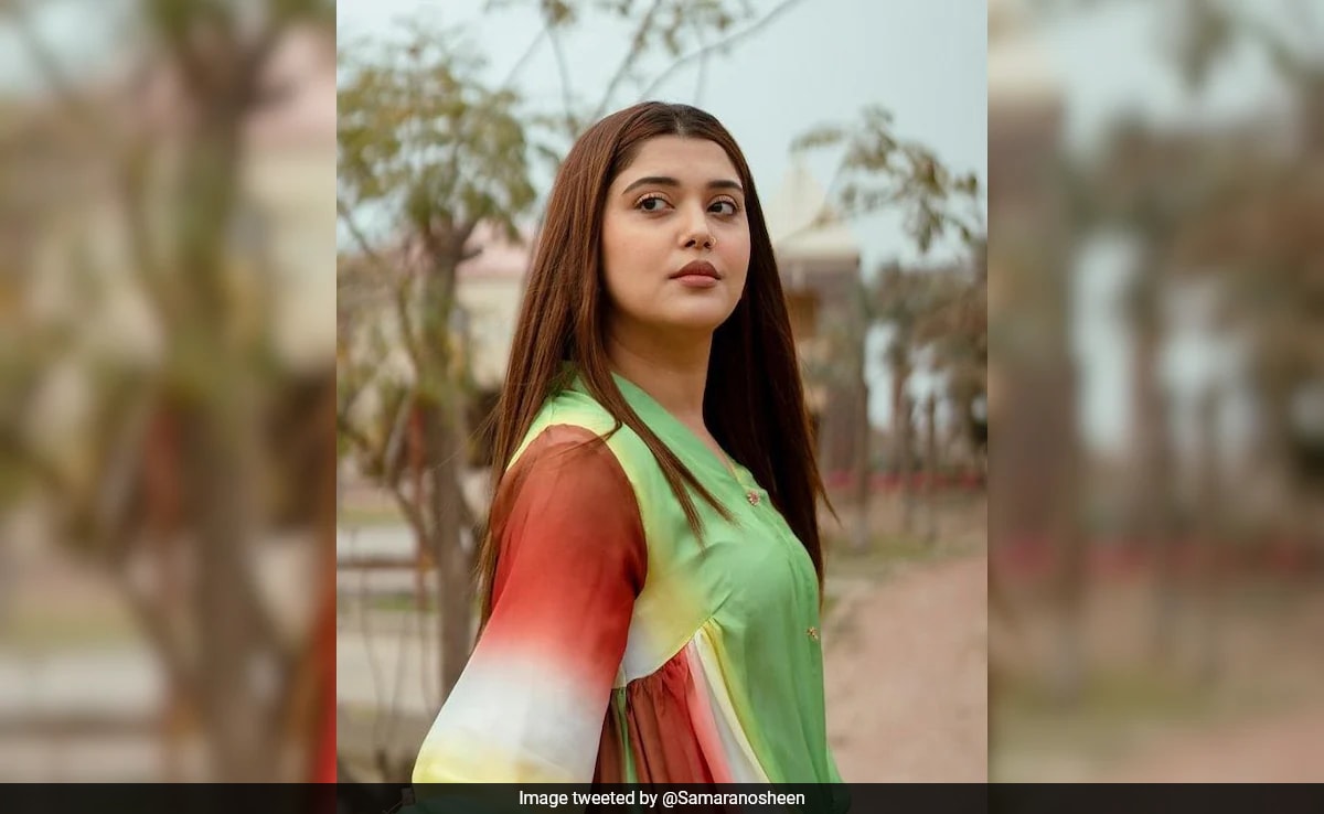 Kanwal Aftab Becomes Latest Victim In Series Of Pakistani Influencer Video Leaks