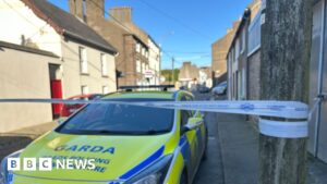 Girl killed ‘trying to save mother from attack’