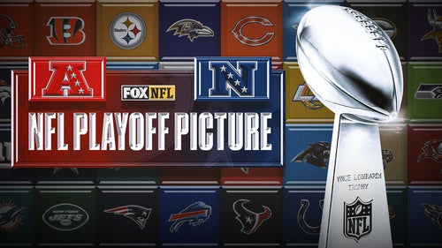 NFL Trending Image: 2024 NFL Playoff Bracket, Schedule, Standings