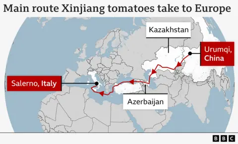 Map showing the route most Xinjiang tomatoes take to Italy - beginning in Urumqi and ending in Salerno 