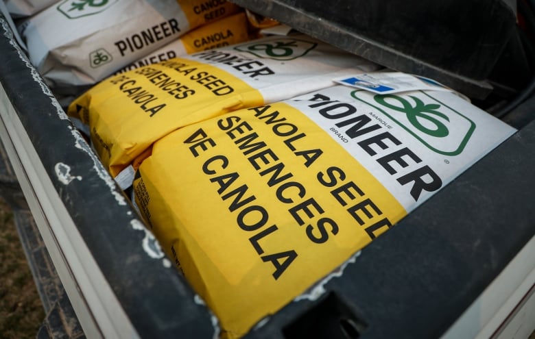 Sacks of canola seed worth more than $700 each await planting on a family farm near Cremona, Alta., Tuesday, May 16, 2023.  THE CANADIAN PRESS/Jeff McIntosh