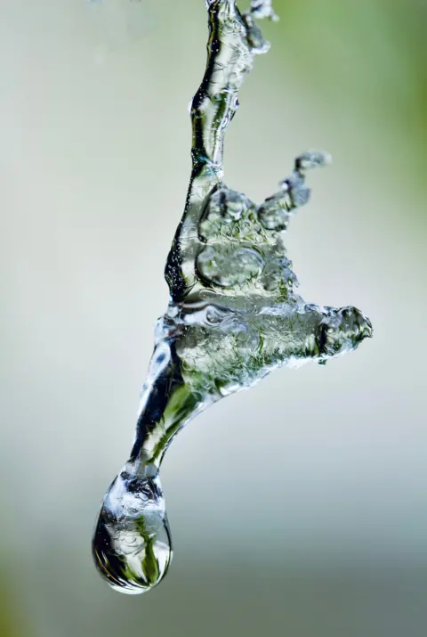 Jane Luetkens A drop of water falls from frozen water