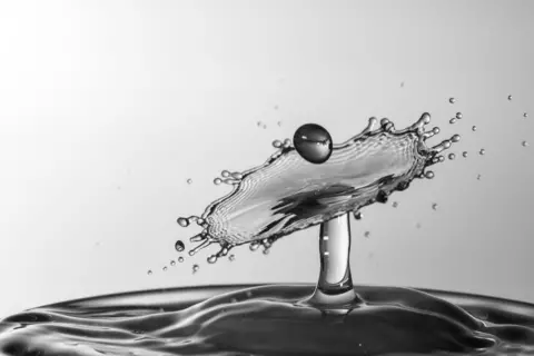 Peter Lassaline A drop of water causes a splash in a cup of water