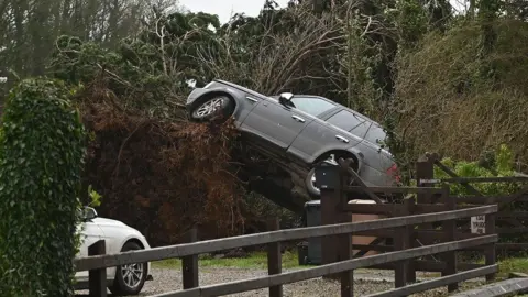 Pacemaker A black car half-suspended mid air, wrapped in a large fallen tree, a fence and parked white vehicle are also visible