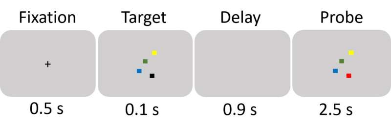 Study finds that sensory stimulation enhances the capacity of human visual working memory