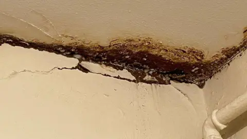 A photo of mould in the corner of a room