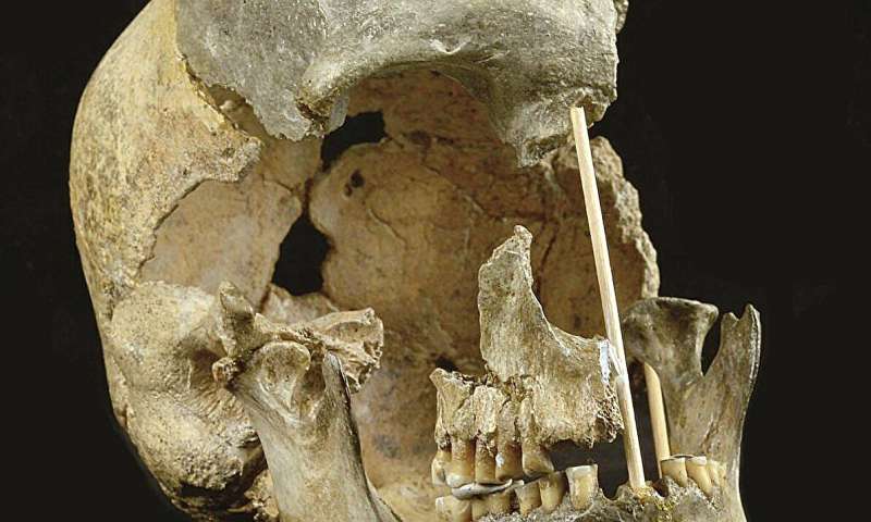 Ancient genes pinpoint when humans and Neanderthals mixed and mingled