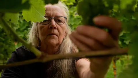 Nina Fink checking on the development of some grapes