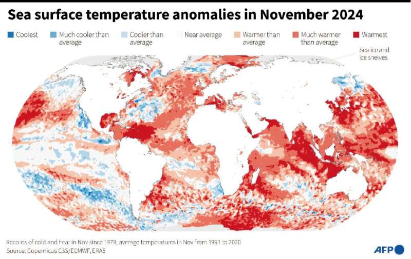 Sea surface temperature anomalies in November 2024