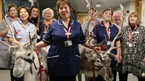 St Helena Hospice Hospice staff all smile while standing next to two reindeer. Some of them are wearing nurses uniforms and other have orange lanyards around their necks. The two reindeers have bells around their necks. 