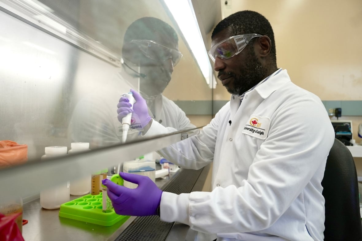 Lawrence Goodridge, director of the Canadian Research Institute for Food Safety and a professor at the University of Guelph, works in his lab.