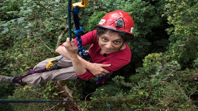 In this 2014 photo provided by Sybil Gotsch shows ecologist Nalini Nadkarni studying the rainforest canopy in the Monteverde region of Costa Rica. Nadkarni's childhood climbing trees shaped her career and now she's hoping she can get help kids interested in science in an new way: Barbies. Nadkarni has long created her own "treetop Barbies" and has now helped Mattel and National Geographic create a line of dolls with careers in science and conservation. (Sybil Gotsch, via AP)