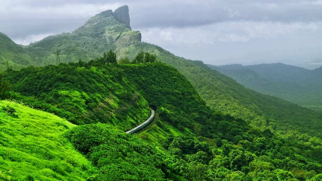 No 2. Lonavala | The lush green monsoon destination of Lonavala nestled in the Western Ghats near Mumbai has seen a rise in searches as family travellers are looking to head there to soak in the lush green landscapes. The hill station's cool climate and picturesque waterfalls provide a serene escape from city life.