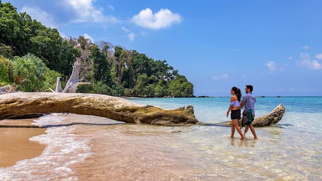 Andaman and Nicobar Islands | While these islands are known for their quiet beaches and pretty landscapes, the New Year's Eve parties here are happening and unforgettable. Popular spots like Havelock Island, Neil Island, and Port Blair host lively beach parties with bonfires, music, and dancing under the stars. The clear skies and the sound of waves on the shore create a perfect setting for an intimate yet lively celebration. Many resorts and hotels on these islands organise special New Year’s Eve events, complete with seafood feasts, cultural performances, and, of course, fireworks that light up the sky over the waters.