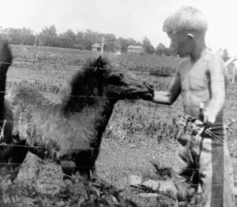 Corbis/Getty Images Jimmy Carter as a boy petting a colt in a field. Georgia, ca. 1920s.