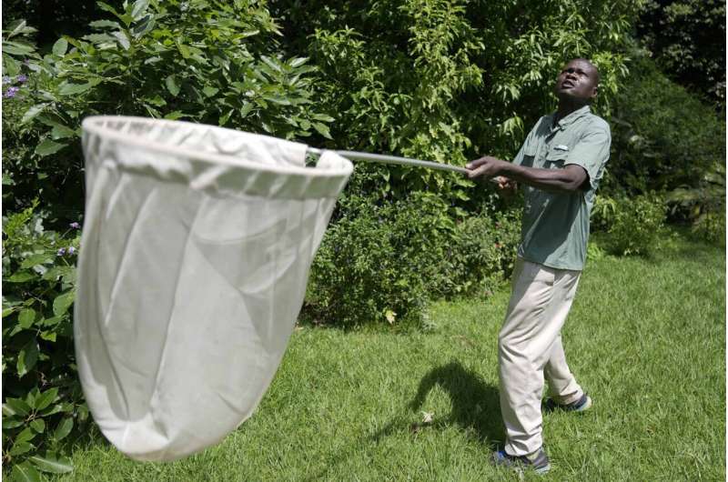 A butterfly collector in Africa with more than 4.2 million seeks to share them for the future