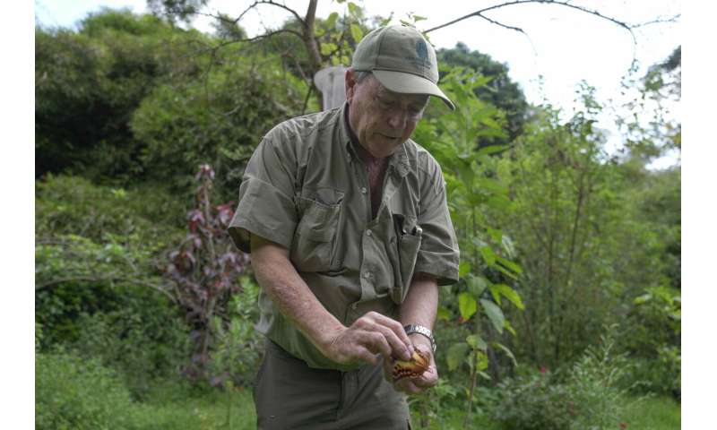 A butterfly collector in Africa with more than 4.2 million seeks to share them for the future