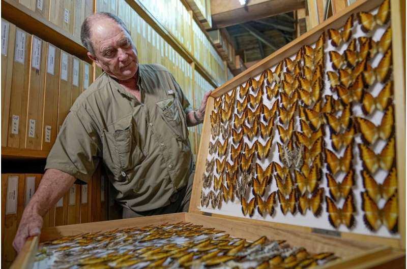 A butterfly collector in Africa with more than 4.2 million seeks to share them for the future