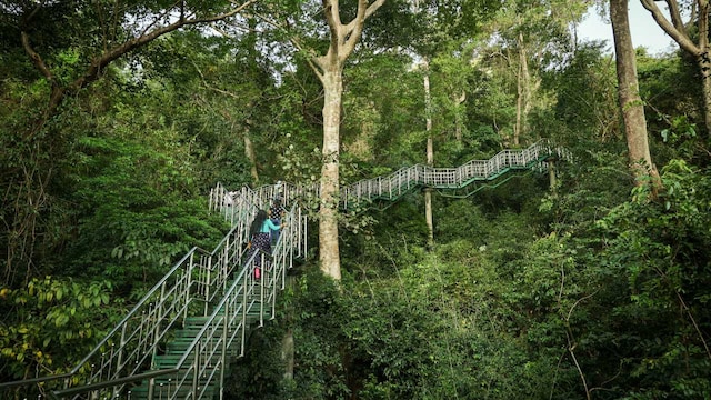 No 2. Thenmala | Known as one of Kerala's adventure zones, Thenmala offers a perfect blend of ecotourism and thrill-seeking activities. Immerse yourself in nature as you embark on exciting adventures like trekking, mountain biking, and ziplining amidst the verdant landscapes. (Image: Shutterstock)