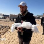 Gaza babies dying from the cold as winter temperatures drop