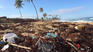 RMIT University Develops Satellite Technology to Identify Plastic Waste on Beaches