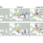 Study Reveals Genetic and Linguistic Roots of Indo-European Populations