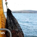 Scottish fishermen warn industry is at risk of being ‘crushed’