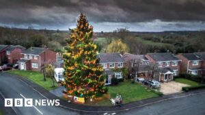 Inkberrow front garden’s 50ft Christmas tree set to light up