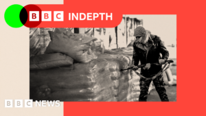 What will happen to Syria’s £4.5bn drug empire now?