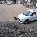 On Camera, Car Runs Over Crouching 6-Year-Old Near Mumbai, Child Survives