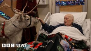 ‘Santa Claus’ overjoyed by reindeer visit in Colchester hospice