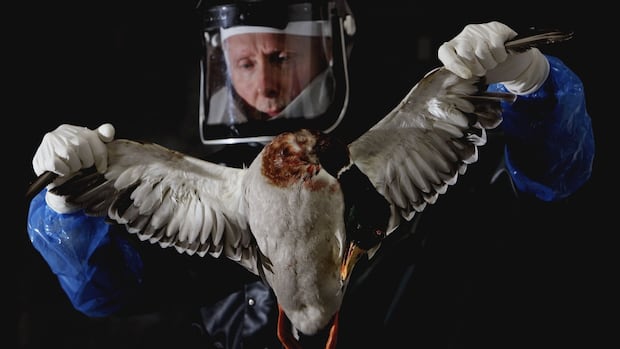 H5N1. Ozempic. Toxic drugs. Here are the health stories we’re watching in 2025