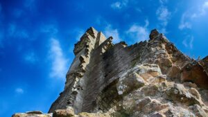 Dorset’s Fossil Forest: A Jurassic Landscape Preserved by Microbial Fossilisation