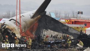 S Korea orders air safety probe after deadly plane crash