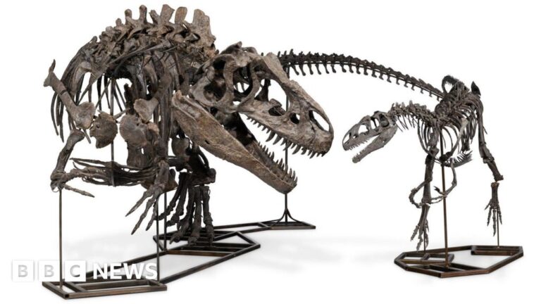 Rare dinosaur trio fetches £12.4m at London auction