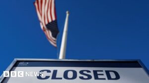 What is a US government shutdown?