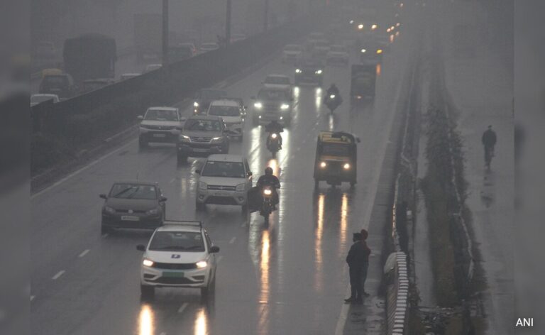 Delhi Records Highest December Rainfall In 15 Years, Temperature Drops