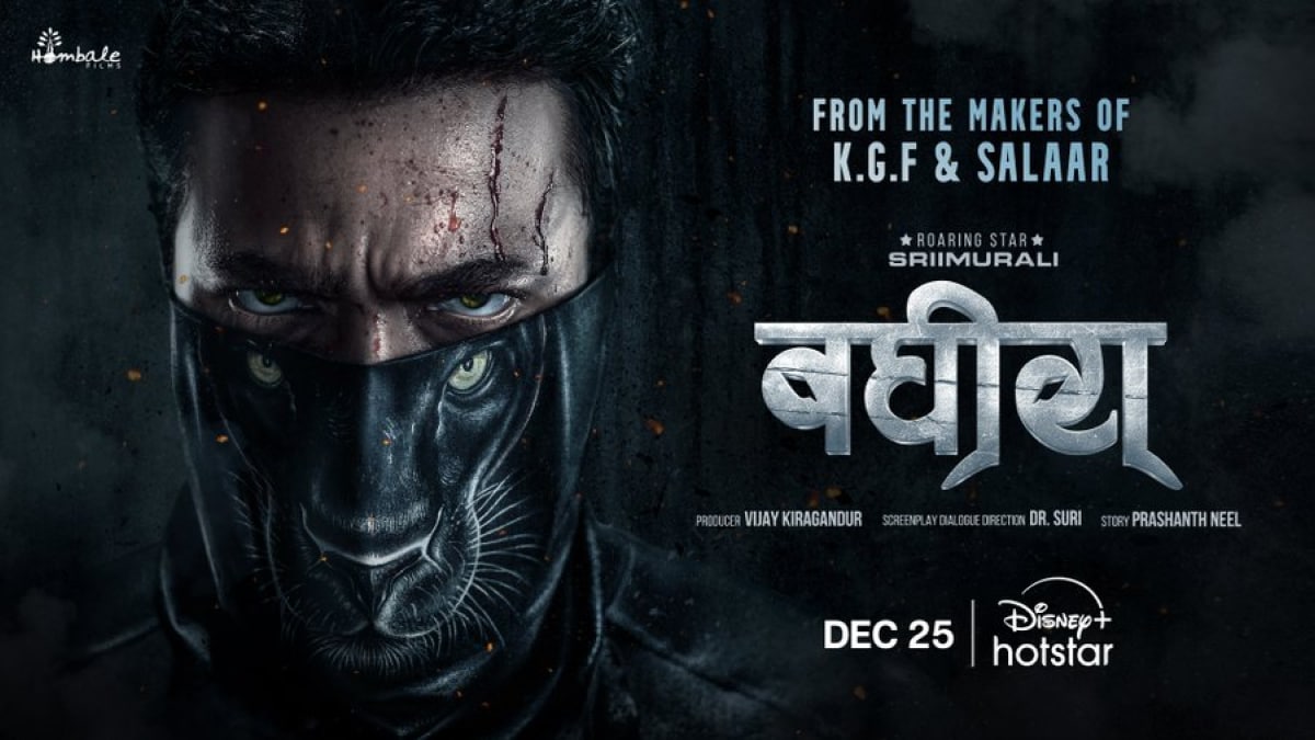 Bagheera Hindi Now Streaming on Disney+ Hotstar: Everything You Need to Know