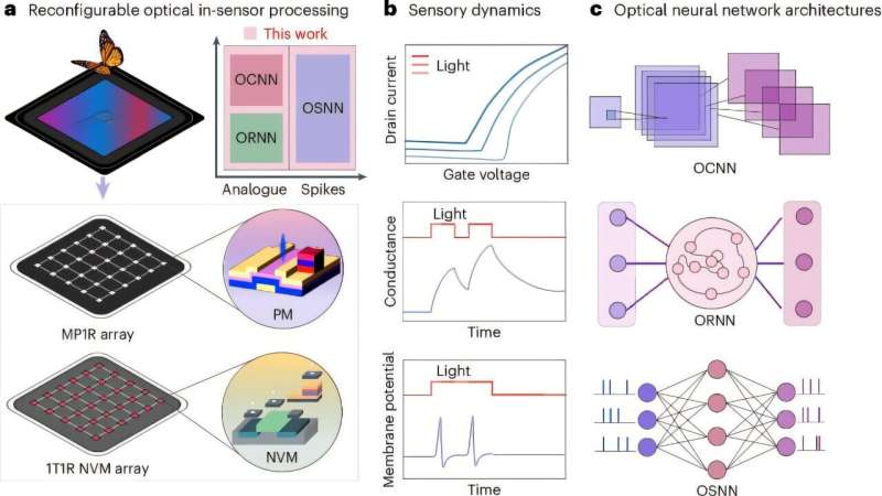 A multiple phototransistors and one memristor array for reconfigurable in-sensor processing