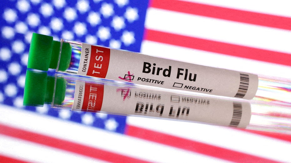 Bird flu test tube