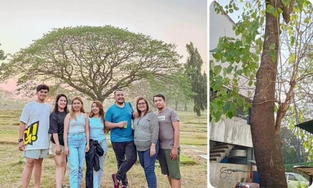 (L-R) Rubio with his family at the cemeteryâs version of âTree of Hope,â the tree planted by Rubioâs father more than a decade ago. Courtesy: JC Rubio