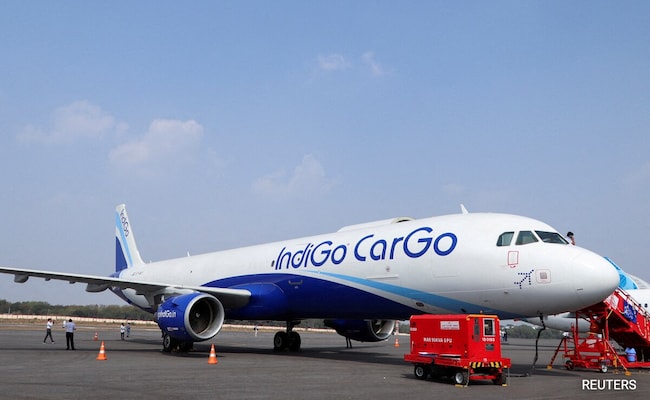 'Unable To Walk Since Mid August': IndiGo Passenger Falls On Plane Ramp, Airline Apologises