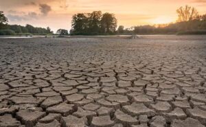 India At Landmark Climate Change Hearing